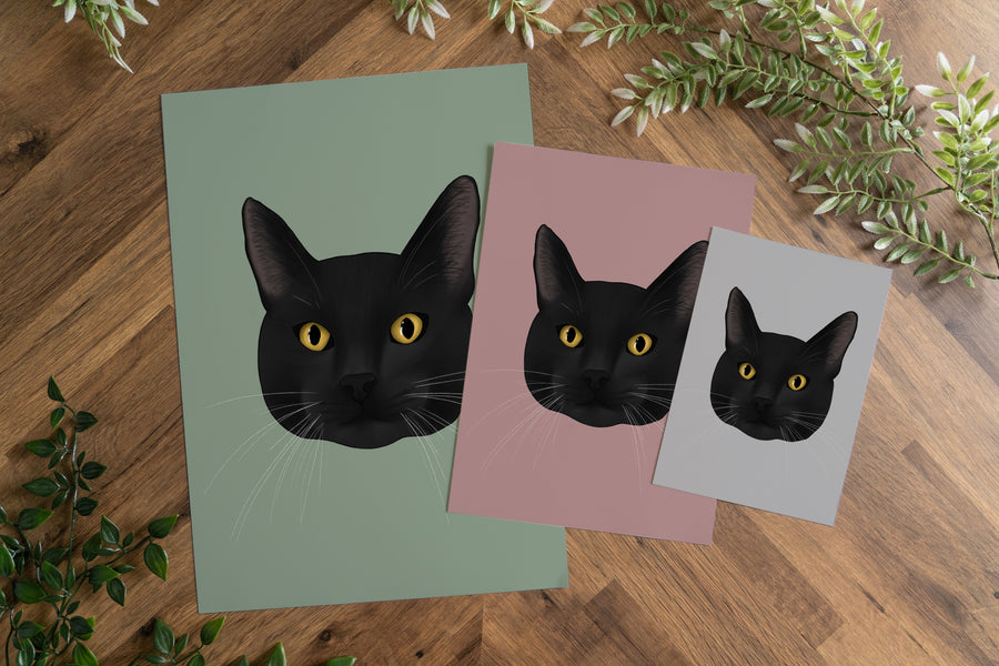 Black Cat Art Print