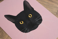 Black Cat Art Print