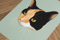 Calico Cat Art Print