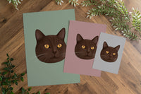 Brown British Shorthair Cat Art Print