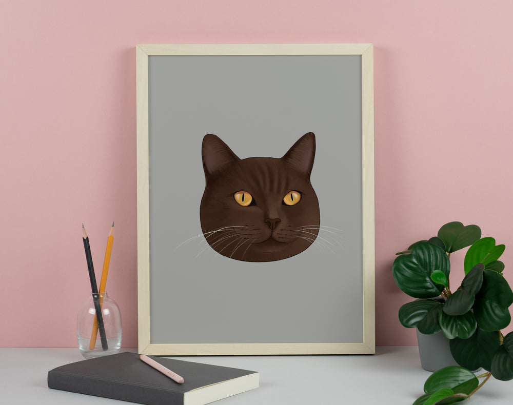 Brown British Shorthair Cat Art Print
