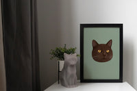 Brown British Shorthair Cat Art Print