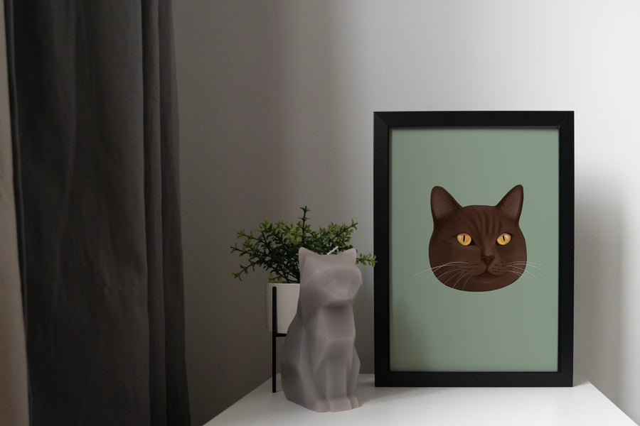Brown British Shorthair Cat Art Print