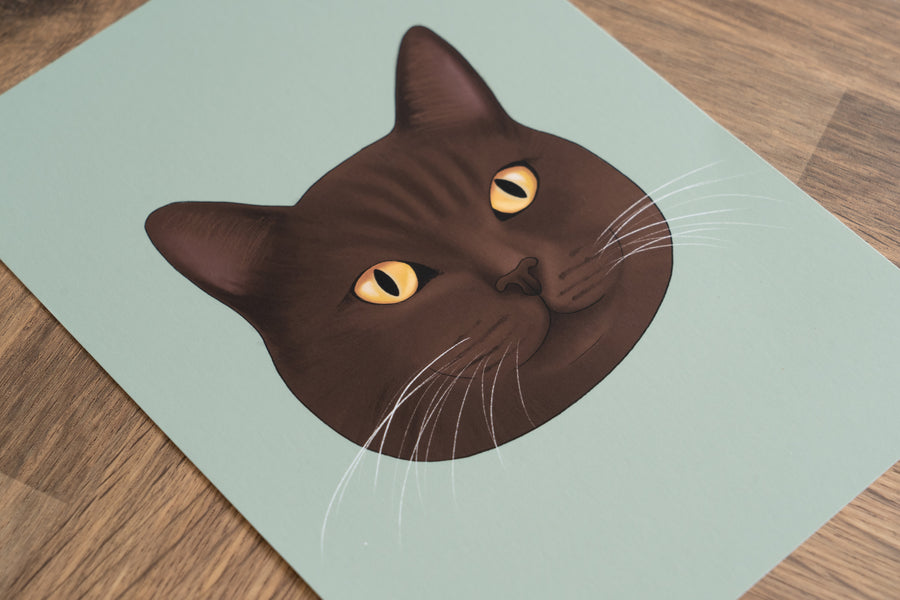 Brown British Shorthair Cat Art Print