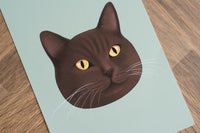 Brown British Shorthair Cat Art Print