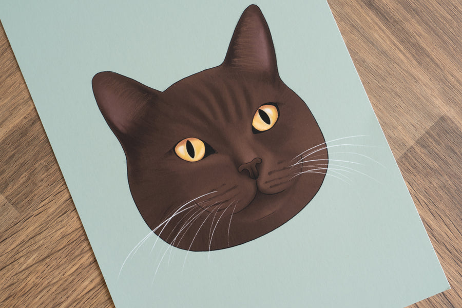 Brown British Shorthair Cat Art Print