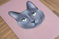 Blue Grey Cat Art Print