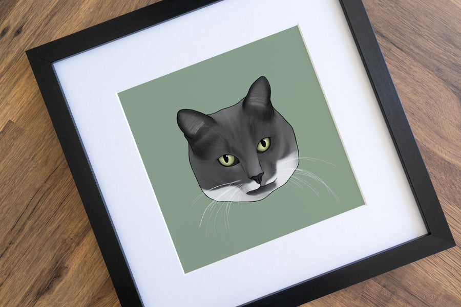 Grey and White Cat Art Print