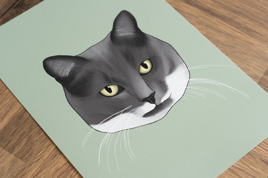 Grey and White Cat Art Print