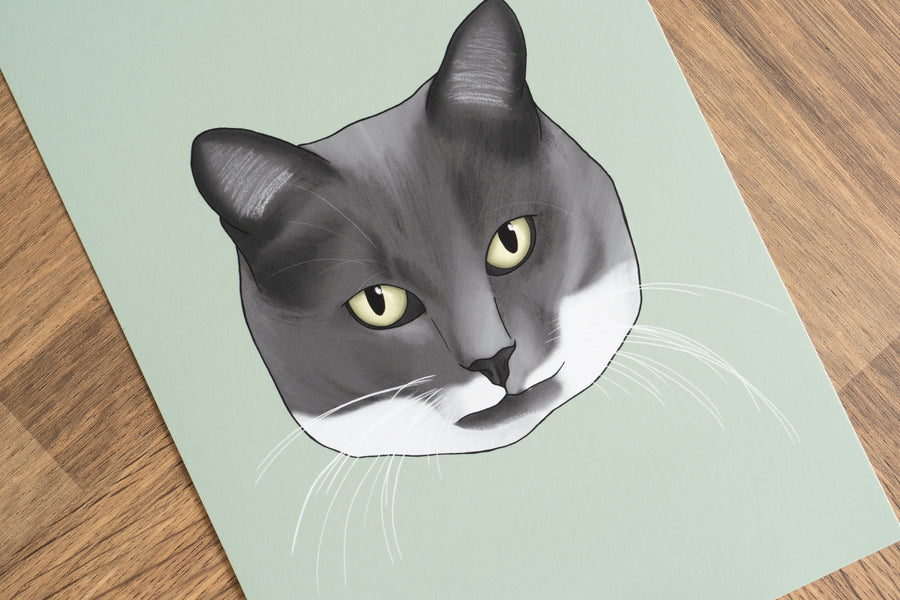 Grey and White Cat Art Print