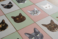 Grey Tabby Cat Art Print