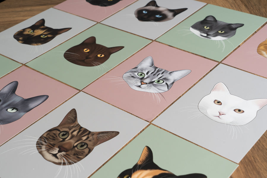 Grey and White Cat Art Print