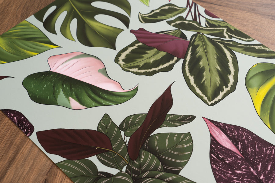 Houseplant Leaves Art Print