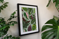 Houseplant Leaves Art Print