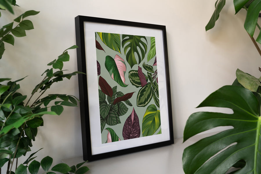 Houseplant Leaves Art Print