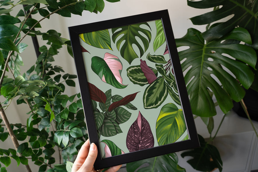 Houseplant Leaves Art Print
