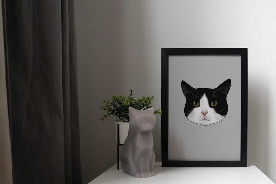 Black and White Tuxedo Cat Art Print