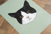 Black and White Tuxedo Cat Art Print
