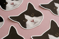 Tuxedo Black & White Cat Sticker