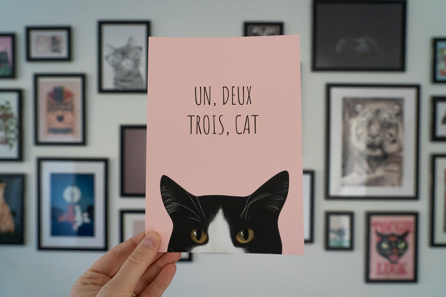 Un Deux Trois Cat Art Print