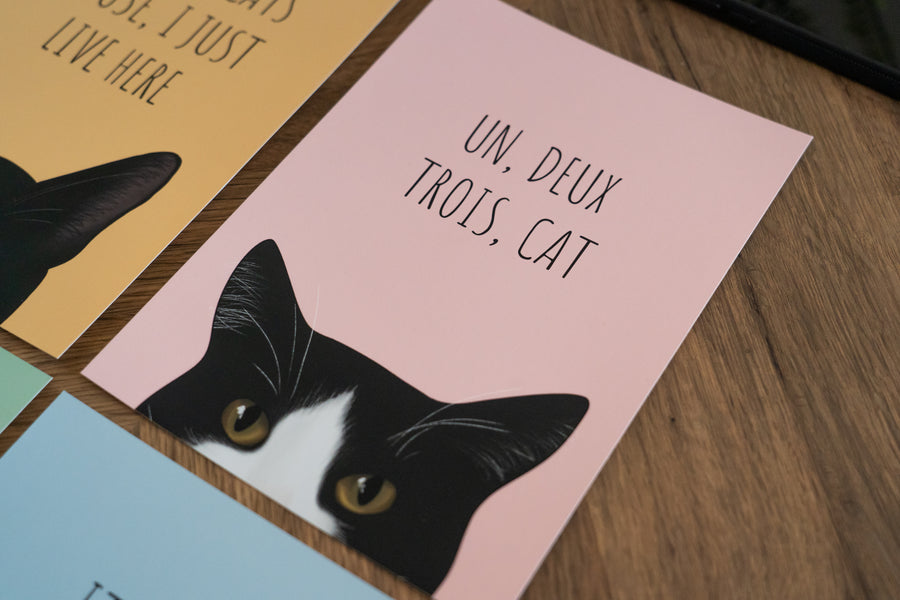 Un Deux Trois Cat Art Print