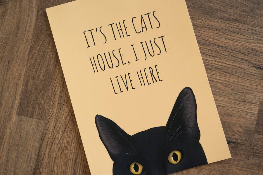 It's The Cats House Art Print