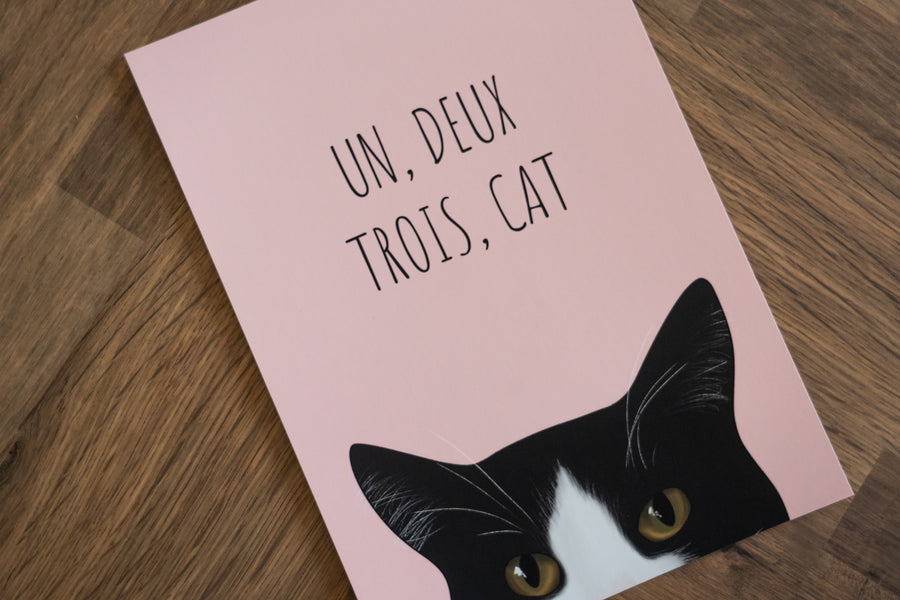 Un Deux Trois Cat Art Print