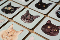 Maine Coon Cat Coaster