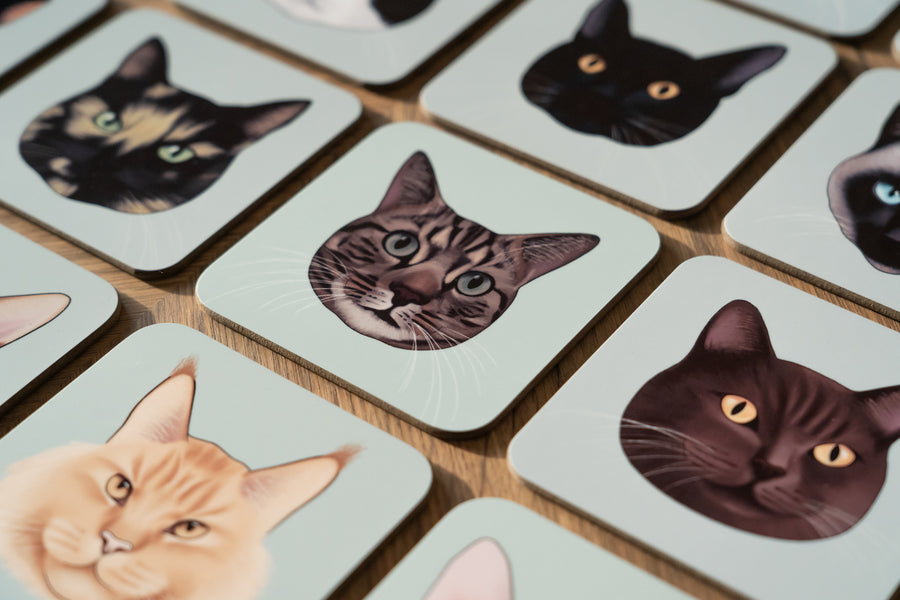 Maine Coon Cat Coaster