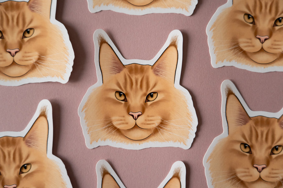 Maine Coon Cat Sticker