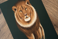 Lion Art Print