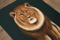 Lion Art Print