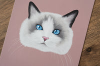 Ragdoll Cat Art Print