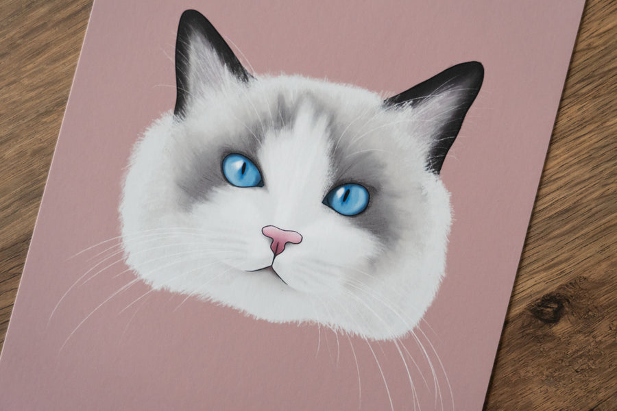 Ragdoll Cat Art Print
