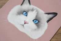 Ragdoll Cat Art Print