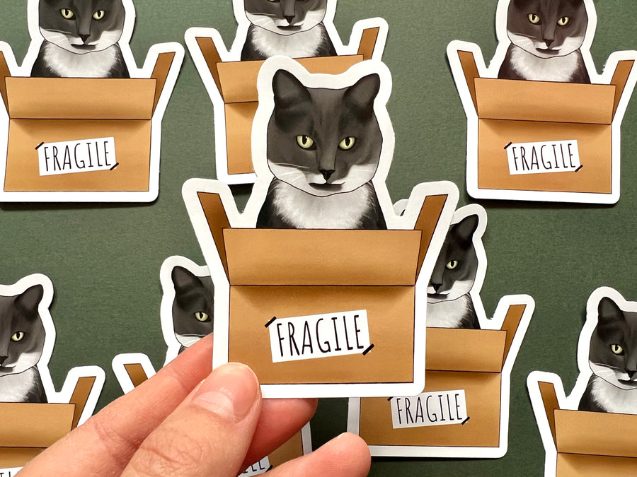 Cat in a Box Sticker
