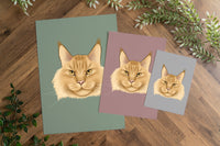 Maine Coon Cat Art Print