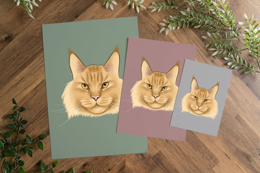 Maine Coon Cat Art Print