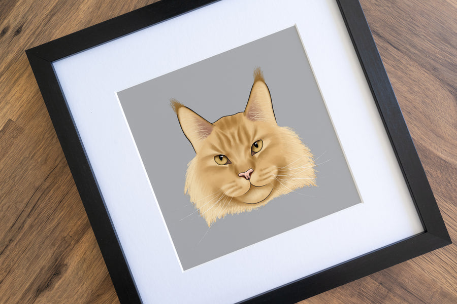 Maine Coon Cat Art Print