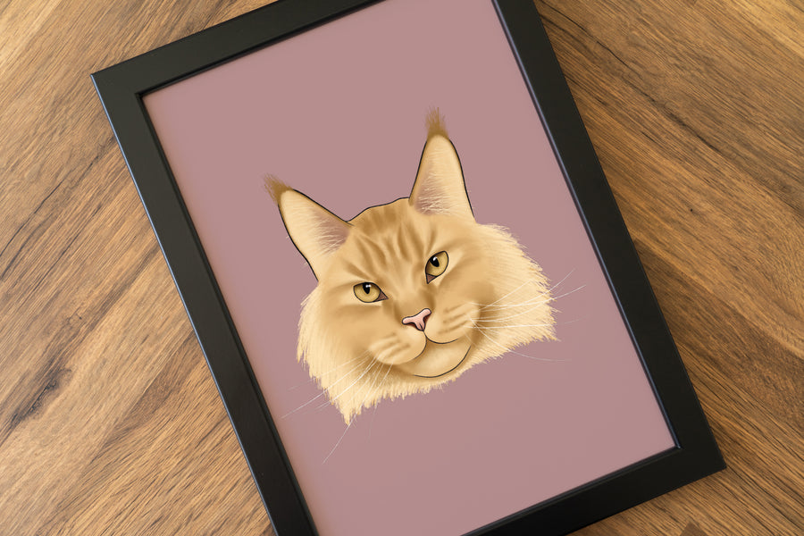 Maine Coon Cat Art Print