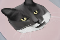 Custom Cat Portrait