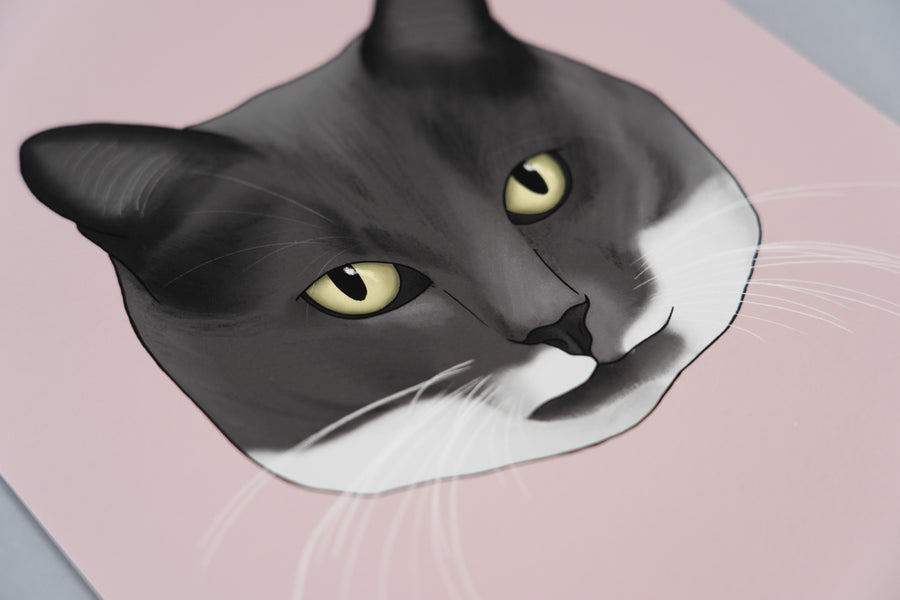 Custom Cat Portrait