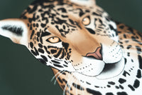 Jaguar Art Print