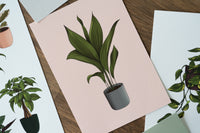 Cast Iron Aspidistra Houseplant Print