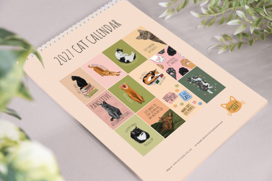 Cat 2027 Calendar | PRE ORDER