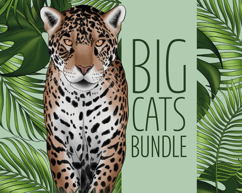 Big Cat Bundle