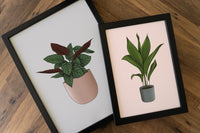 Cast Iron Aspidistra Houseplant Print