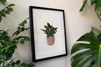 Prayer Plant Houseplant Art Print