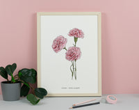 Carnation Floral Art Print