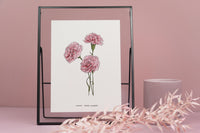 Carnation Floral Art Print